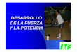 DESARROLLO DE LA FUERZA Y LA POTENCIA - … y potencia.pdf · EJERCICIOS Para la musculaturadel troncoen nuestroejemplode golpede derecha, 3 ejerciciosclasificadosserían: GENERAL