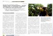 Jornadas Seguridad alimentaria, lucha integrada y sanidad ... · PDF fileplicó la historia del virus del bronceado del tomate en culti-vos de pimiento, desde su ... flores en todo