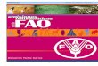 MUNDIALES Boletín de Anverso y Reverso - bencoins.combencoins.com/fao/articulo-FAO.pdf · MUNDIALESEmisiones numismáticas de la FAO ... los países en desarrollo y a los ... ción