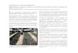 Conclusiones y Recomendaciones.siteresources.worldbank.org/MEXICOEXTN/Resources/conclusionesy... · actividades de conservación y restauración del suelo y agua en la Mixteca, a