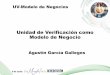 UV-Modelo de Negocios - ema.org.mx · PDF fileUnidad de Verificación como Modelo de Negocio Agustín García Gallegos UV-Modelo de Negocios