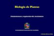 Fitohormonas y regulación del crecimiento · PDF fileMicronutrientes: elementos químicos necesarios en pequeñas cantidades Cloro Cl Hierro Fe Boro B Manganeso Mn Sodio Na Zinc Zn