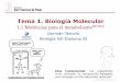 Tema 1. Biología Molecular - dpbiologia.weebly.comdpbiologia.weebly.com/uploads/2/1/5/5/21553524/gtp_t1._biología... · La aproximación de la biología molecular es reduccionista,
