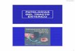 Fisiopatología de la Diarrea - · PDF fileCOMPLEJO DIARRÉICO NEONATAL - Bovinos . 07/04/2016 53 DIARREAS POST DESTETE - Clostridiosis ... tipo diarreico. - Diabetes mellitus . 07/04/2016