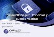 Desarrollo Seguro: Principios y Buenas Prácticas - owasp.org · PDF fileExperiencia en Desarrollo, Testing, Pentesting, Ethical Hacking, Test de Penetración, ISO27001, PCI-DSS y