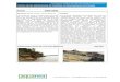 Inicios de las aplicaciones de helófitos en bioenginyería ...aquanea.com/armari/aquanea:aquanea/2/trave.es.pdf · Inicios de las aplicaciones de helófitos en bioenginyería en