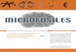 MICROFÓSILES - Paleontology at Universidad del Mar · PDF file23 ¿cómoves? Durezas en el tiempo Al morir un organismo, por lo general se pudren y descomponen los tejidos en tanto
