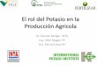El rol del Potasio en la Producción Agricola - lacs.ipni.netlacs.ipni.net/ipniweb/region/lacs.nsf... · Source: FAOSTAT and IFA . ... SINTESIS DE CARBOHIDRATOS Y TRANSLOCACION Contenido