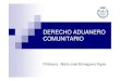 DERECHO ADUANERO COMUNITARIO - EDUCARMservicios.educarm.es/templates/portal/ficheros/websDinamicas/30/g... · TERRITORIO ADUANERO COMUNITARIO Coincide básicamente con el territorio