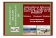 Indicadores Básicos Salud Ambie - bvsde.paho. · PDF filedel impacto en la salud ambiental y ocupacional en CHUQ ... indicadores de salud ambiental en coordinación con funcionarios