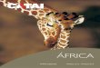 índice - estaticos2.catai.esestaticos2.catai.es/content/pdf/catalogo-africa-2015.pdf · pequeña laguna que atrae a todo tipo de animales. Lago Naivasha. De agua dulce, ... Arusha