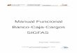 Manual Funcional Banco-Caja-Cargos SIGFASforja.softwarelibre.gob.ve/docman/view.php/179/378/Manual+banco... · crédito y saldo actual. ... secuencia y formato de impresión deben