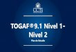 TOGAF®9.1 Nivel 1 Nivel 2 - ccti.com.co · PDF fileNuestro entrenamiento te permitirá comprender como el estándar de arquitectura empresarial más importante y confiable TOGAF 