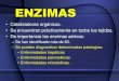 ENZIMAS -   · PDF fileENZIMAS •Catalizadores orgánicos. •Se encuentran prácticamente en todos los tejidos. •De importancia las enzimas séricas. –Se han identificado