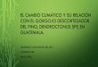 El Cambio Climático y su Relación con el Gorgojo ...agromip.com.gt/ponencias /CONFERENCIAS SALON RUBI/2... · Gorgojo Descortezador del Pino en Honduras, año 2,015 2015 