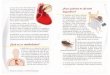 Sin título-1 - fundarritmia.orgfundarritmia.org/web/wp-content/uploads/2015/10/MUERTE-SUBITA.pdf · Los ritmos cardiacos anormales se de- nominan arritmias cardiacas y se divi- 