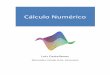 Cálculo Numérico – Luis Castellanos · PDF fileCálculo Numérico ... 8. SOLUCIÓN NUMÉRICA ... o El último dígito que se conserva aumenta en 1 si el primer dígito