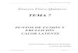TEMA 7 PUNTOS DE FUSIÓN Y EBULLICIÓN CALOR  · PDF filepuntos de fusiÓn, ebulliciÓn. calor latente. gs – ensayos fÍsico-quÍmicos