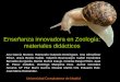 Enseñanza innovadora en Zoología: materiales didácticoswebs.ucm.es/centros/cont/descargas/documento3662.pdf · Se incluyó un glosario de términos zoológicos Equinodermos Macronúcleo: