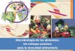 Microbiología de los alimentos: Un enfoque práctico para ... · PDF fileEnfermedades transmitidas por los alimentos Contenidos 2.5 Principales microorganismos en los alimentos 3