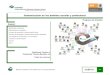 Comunicación en los ámbitos escolar y profesional · PDF fileModelo Académico de Calidad para la Competitividad CAEP-01 1/25 Comunicación en los ámbitos escolar y profesional