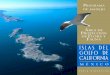 ISLAS DEL GOLFO DE CALIFORNIAislasgc.conanp.gob.mx/archivos/ISLAS GOLFO F.pdf · ¿Cuándo se estableció el Área de Protección de Flora y Fauna Islas del Golfo de California? ¿Dónde
