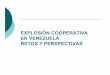 EXPLOSIÓN COOPERATIVA EN VENEZUELA RETOS Y · PDF fileEn coherencia con visiones políticas y sociales se presentan al menos tres concepciones o tendencias significativas. Visión