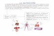 EL MÉTODO CIENTÍFICO - · PDF fileResume en un cuadro las partes del aparato digestivo y la función que desempeñan: Glándulas anejas PARTES TUBO DIGESTIVO Función GLÁNDULAS