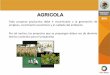 Presentación de PowerPoint - gob.mx · PDF file–Acolchado (con o sin fertirriego) –Terrazas (en pendientes altas) –Sistemas de producción orgánica ... Mango Aguacate Limón
