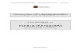 FLAUTA TRAVESERA I - · PDF fileConservatorio Superior de Música de Murcia Guía Docente de Flauta Travesera I Curso 2012-13 3 2. Introducción 2.1. Contextualización histórica