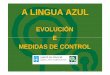 A LINGUA AZUL - Consellería do Medio Ruralmediorural.xunta.gal/fileadmin/arquivos/gandaria/sanidade/informes/... · Historicamente a Lingua Azul foi considerada unha enfermidade