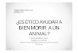 ¿ES ÉTICO AYUDAR A BIEN MORIR A UN ANIMAL? · PDF fileÉtica • Parte de la filosofía que trata de la moral y de las obligaciones del ser humano. ... • Peter Singer: todos los