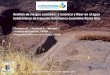 Análisis de riesgos asociados a arsénico y flúor en el ... · PDF fileAnálisis de riesgos asociados a arsénico y flúor en el agua. Subterránea de Irapuato -Salamanca-Juventino