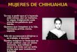 MUJERES DE CHIHUAHUA - Ladespeinada74's Weblog | · PDF fileponen a inventar choro y medio por quitarse el asunto de encima, pero sabemos que no solo en chihuahua pasa esto sino en