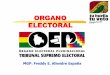 ORGANO ELECTORAL - Freddy E. Aliendre España · PDF fileacompañamiento electoral para los procesos electorales, referendos y revocatorias de mandato de alcance nacional, departamental,