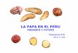Papa En EL Peru - psi.gob.pebiblioteca\exposiciones\Papa_En_EL_Peru.pdf · EN EL PERU 376,7 0,017 1 885,1 ... Regiones naturales y zonas agroecológicas ... papa en la sierra del