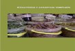 Encurtidos y conservas vegetales -  · PDF file261 P ENCURTIDOS Y CONSERVAS VEGETALES Aceituna Aloreña o Malagueña Descripción del Producto En su zona de producción es más