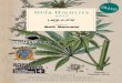 Somos fabricantes y distribuidores de Bongs, Grinders ... · PDF filela marihuana en Argentina goza de una óptima salud. ... LA PAMPA Santa Rosa ...   Palermo