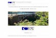 PUENTE POÁS- RUTA 107 - · PDF fileLa estructura consiste en un puente tipo arco, ... Se desconoce la carga vehicular de diseño para el Puente sobre el río Poás, ... superestructura