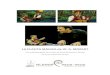(Dossier La Flauta Màgica 2x) - xtec. · PDF fileLA FLAUTA MÀGICA de Una audició per gaudir de la música Per a nens i nenes de 0 a 6 anys en directe W. A. de Mozart MOZART en família!