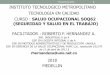 ITM-SST-2018-RFHA 1 INSTITUTO TECNOLOGICO · PDF file- Comité Paritario de Salud Ocupacional (COPASO) (COPASST). - Comité de Convivencia Laboral - Panorama de factores de riesgo
