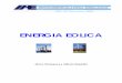 ENERGIA EOLICA - menteocupada.commenteocupada.com/energia/energia-energia-eolica-instituto-argenti... · rección de los vientos dominantes en cada uno de los puntos de la corteza