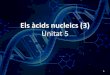 Els àcidsnucleics(3) Unitat 5 · PDF fileUnitat 5 1. Àcids&nucleics 3 • Composició química