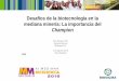 Desafíos de la biotecnología en la mediana minería: La ... · PDF file00/00/2015 Desafíos de la biotecnología en la mediana minería: La importancia del Champion Pilar Parada,