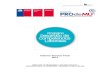 Informe Técnico Final 2012 - · PDF fileSocial Chile Solidario de competencias básicas de empleabilidad, así como de competencias laborales y de acceso a mecanismos de intermediación,