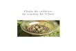 Guía de cultivo - cahuinadencul.netcahuinadencul.net/cultivo/cactus_invitro.pdf · Introducción La siguiente guía aborda la técnica del cultivo de cactus desde semilla in-Vitro