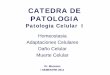 CATEDRA DE PATOLOGIA - Blog 5 Semestre UCIMED I ... el inicio, la celula llega al “punto de no regreso ” y sufre daño celular irreversible y muerte celular. Daño Celular se clasifica