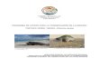 PROGRAMA DE ACCIÓN PARA LA CONSERVACIÓN DE LA …20sobre%20... · abundancia histórica, gran tamaño y relativa facilidad de captura de las hembras en las playas ... permanente