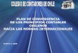 PLAN DE CONVERGENCIA DE LOS PRINCIPIOS  · PDF fileDE LOS PRINCIPIOS CONTABLES ... Normas Internacionales de Contabilidad (NIC/NIIF) II. ... 15 Contratos de Construcción (NIC 11)