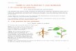 TEMA 6 LAS PLANTAS Y LOS HONGOS · PDF fileMás del 90% de las enfermedades de los ... • El cuerpo de las plantas está formado por la raíz, el tallo y las hojas que son sus órganos